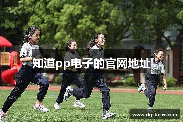 知道pp电子的官网地址